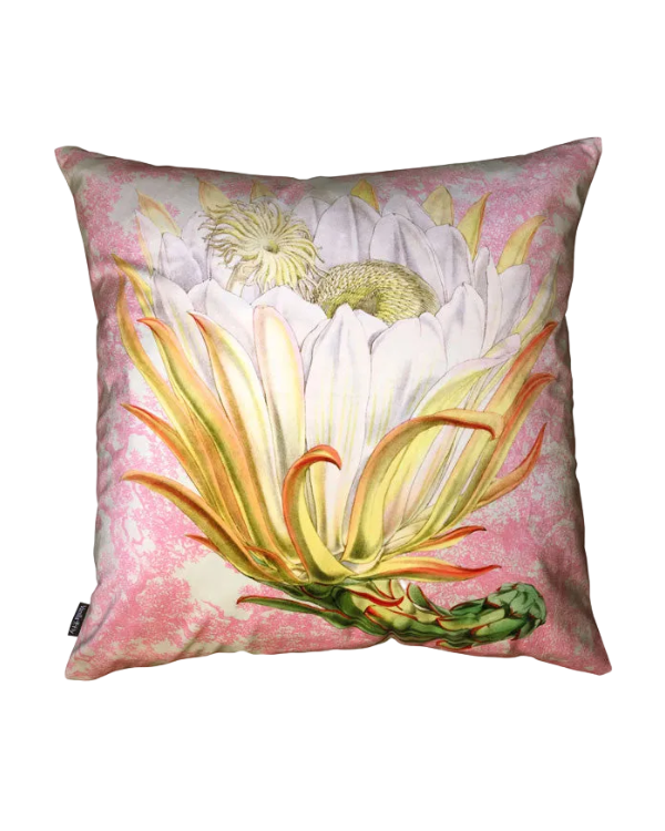 Velvet Protea Pink Toile kussen