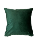 Velvet kussen groen