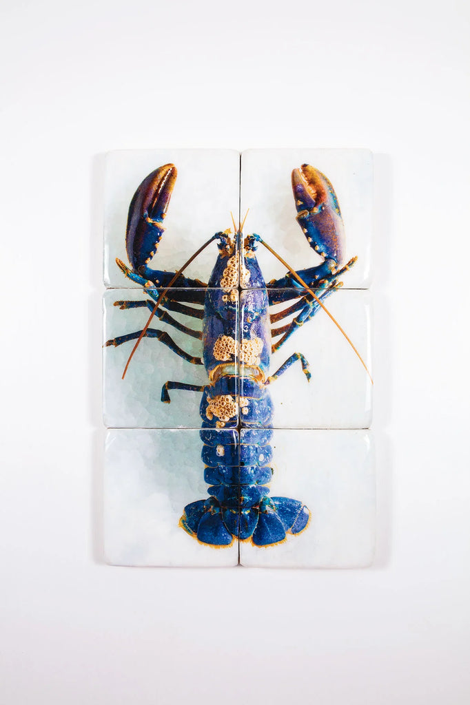 stigerwoods wooden tile european lobster barnacles