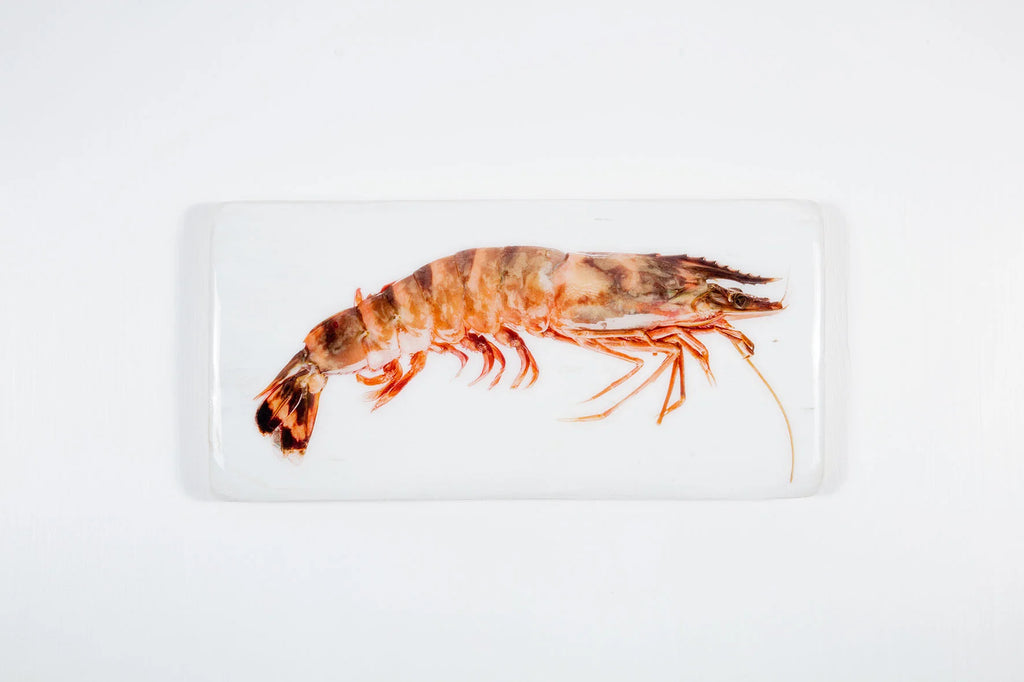 stigerwoods wooden tile giant shrimp