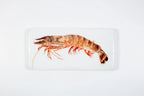 stigerwoods wooden tile giant shrimp