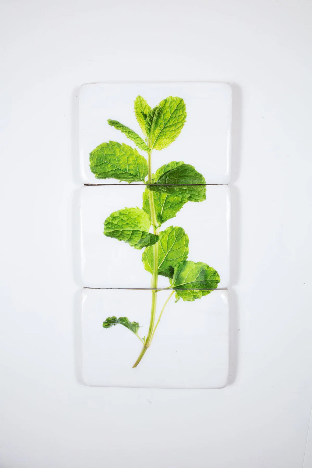 stigerwoods wooden tile mint