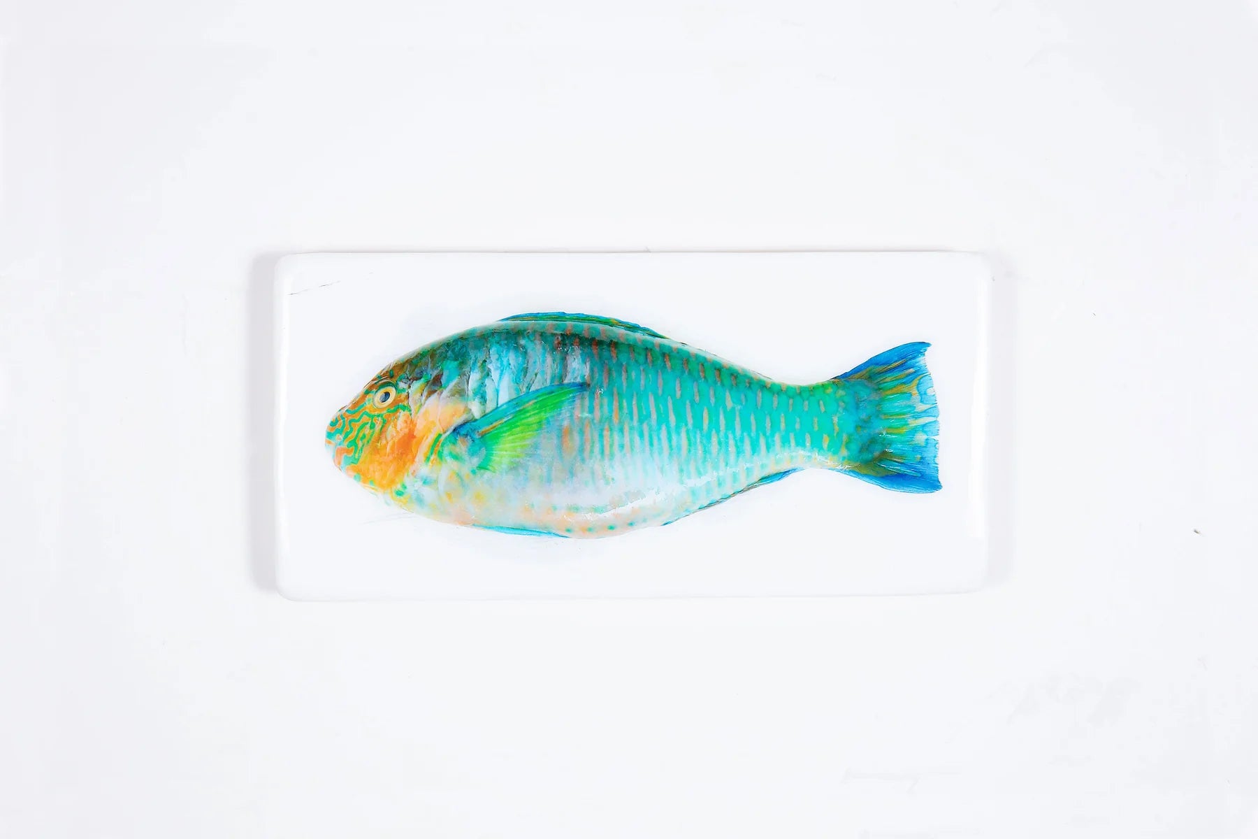 stigerwoods wooden tile turquoise parrot fish