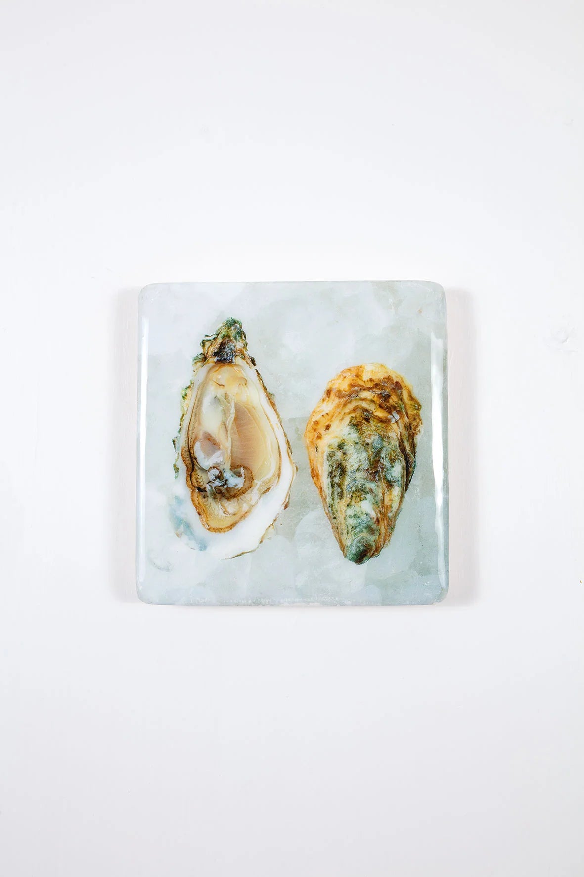 stigerwoods wooden tile two oysters