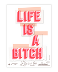 Studio Boot poster Life is a Bitch