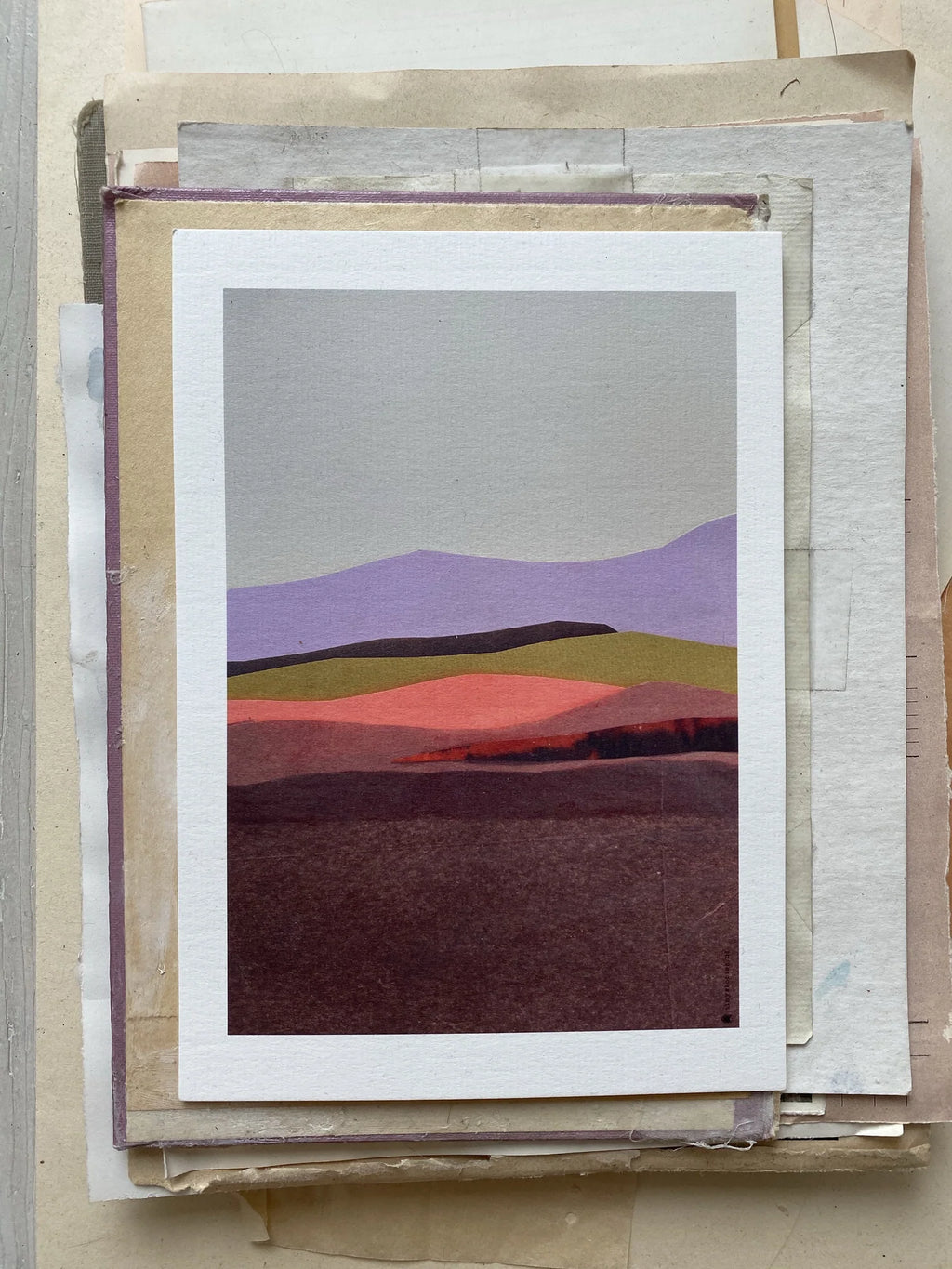 TinyStories Poster met Lijst - Coral