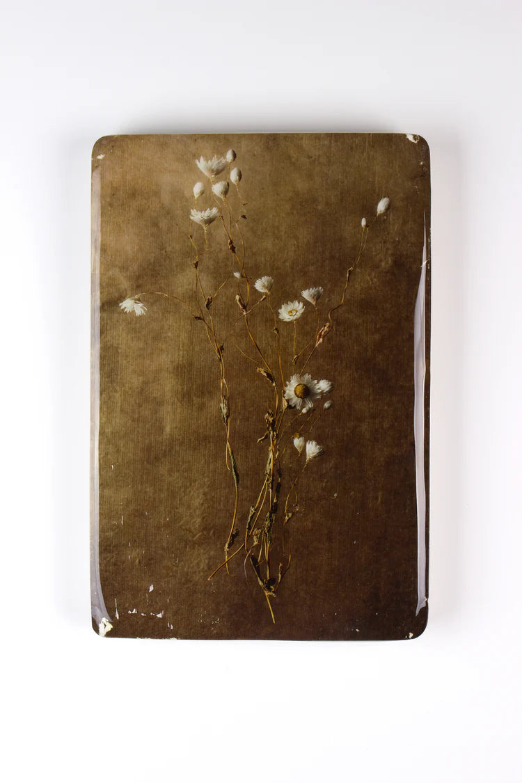 StigerWoods wooden tile White Rhodanthe