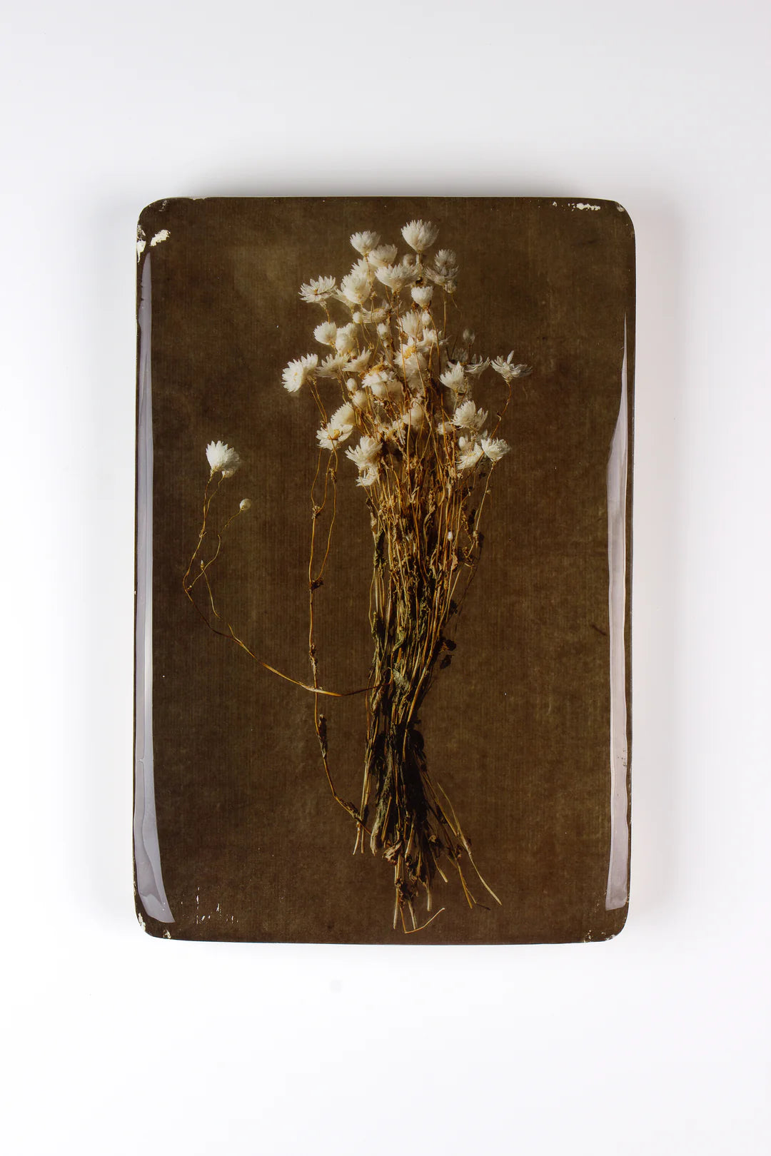 StigerWoods wooden tile White Rhodanthe