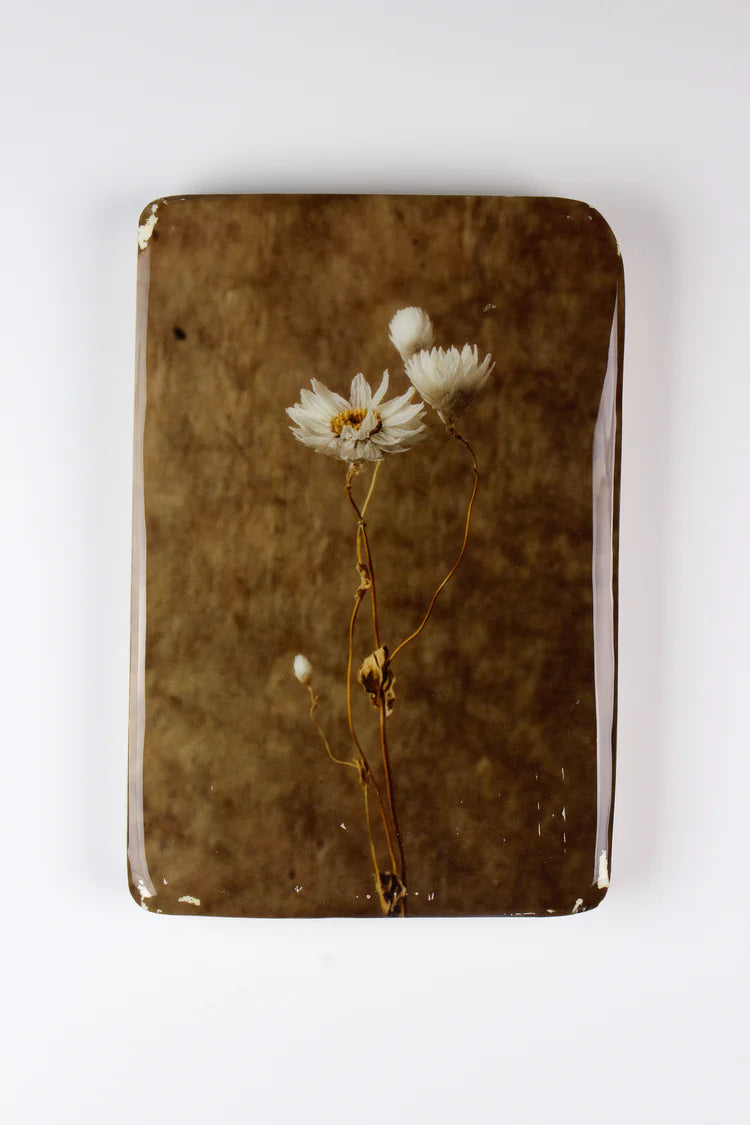 StigerWoods wooden tile White Rhodanthe