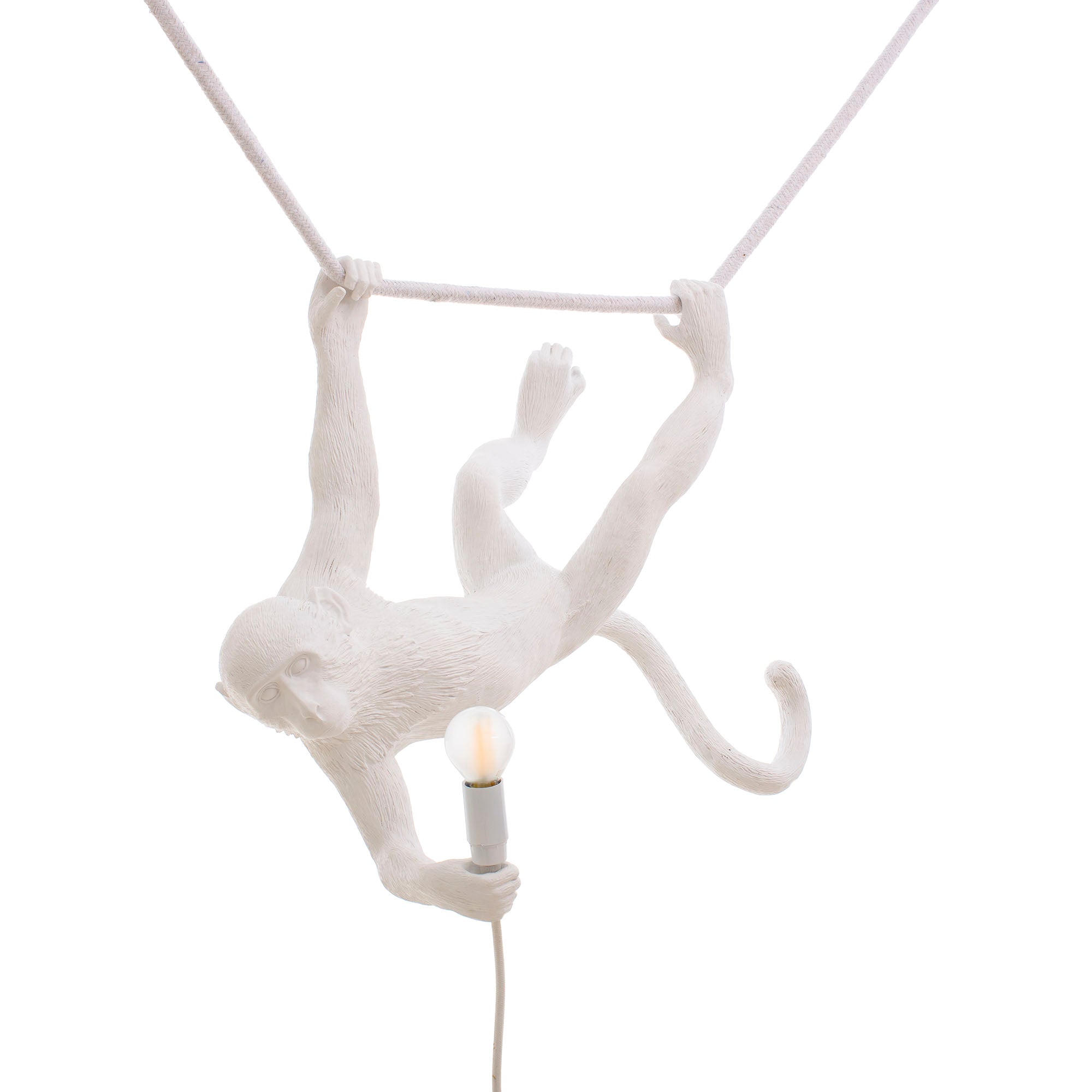 Seletti Aaplamp Hanging Swing