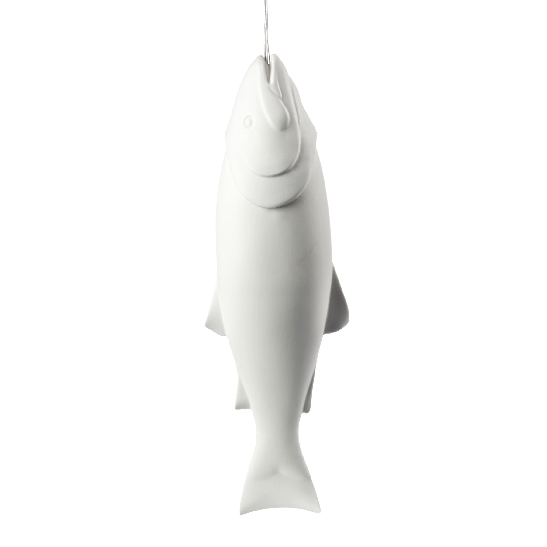 garage Vies haag Pols Potten Mykiss Fish lamp kopen – Kavel 84