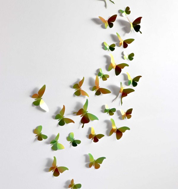 Assembli Collectie Vlinders/Butterfly