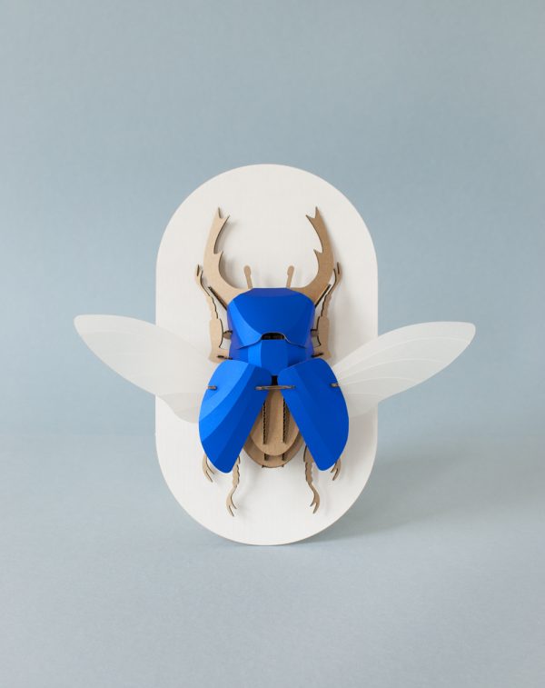 Assembli 3D Insect Kever/Stag Beetle