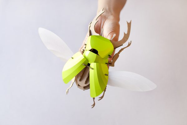 Assembli 3D Insect Kever/Stag Beetle