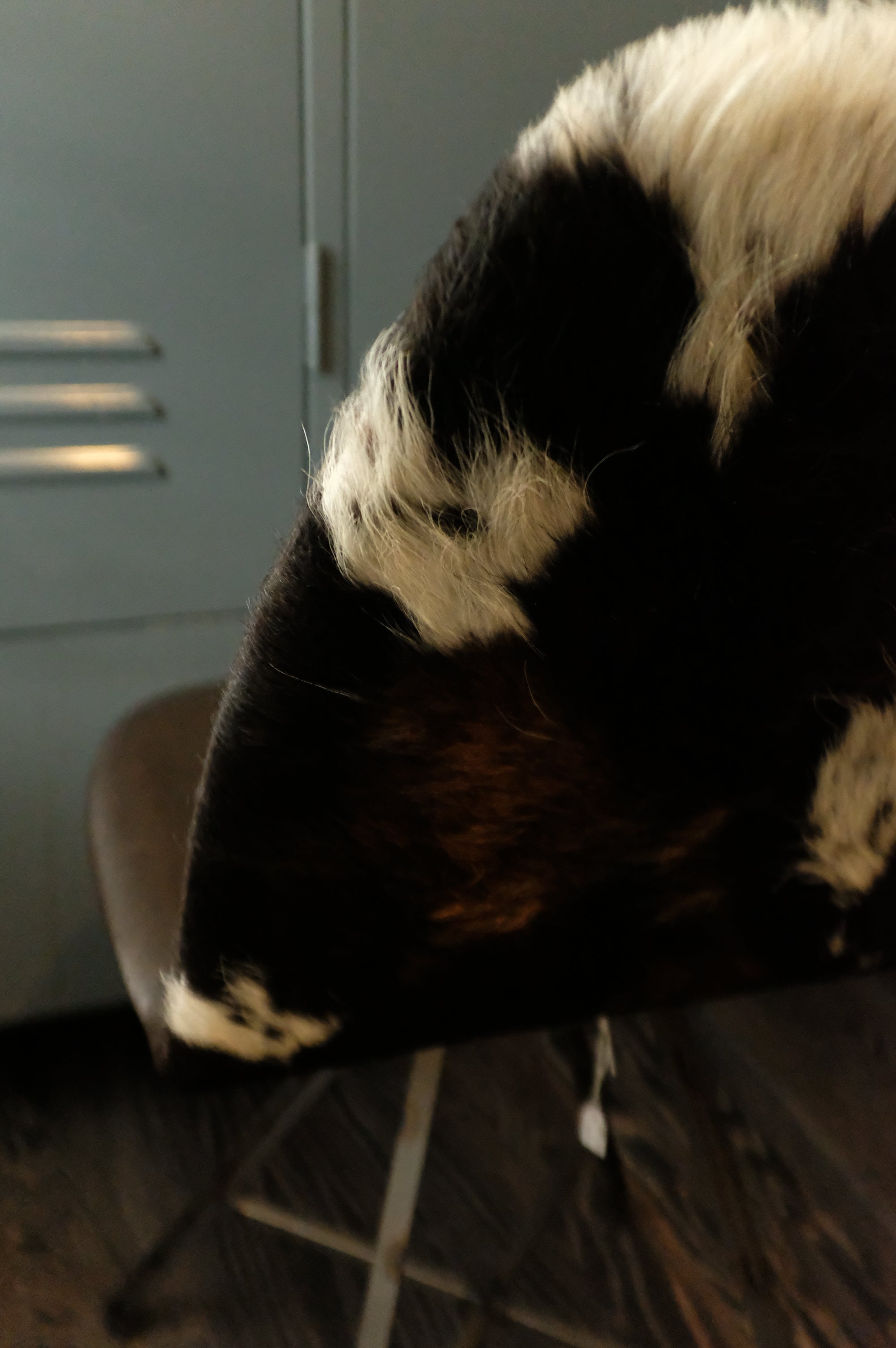 Spoinq stoel Square Cow