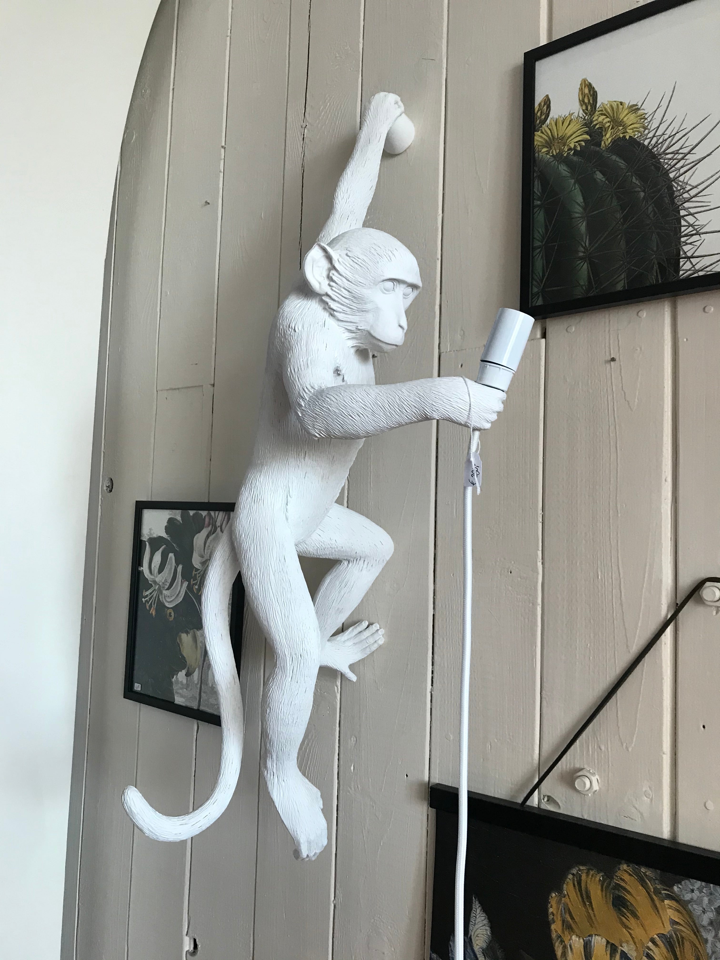 Seletti Aaplamp Hanging links