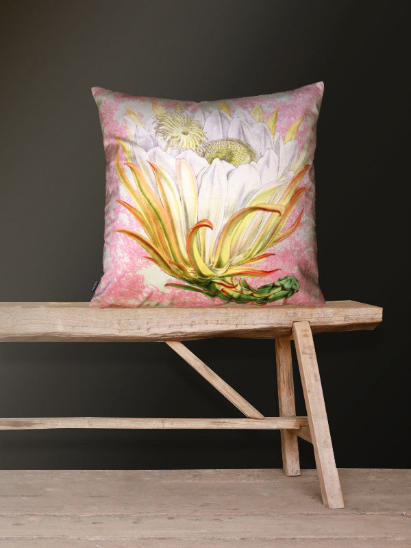 Velvet Protea Pink Toile kussen