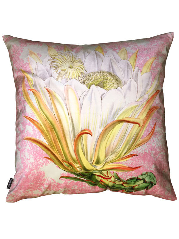 Velvet Protea Pink Toile kussen