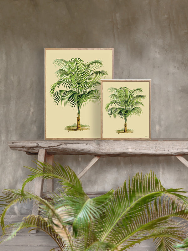 Vanilla Fly poster Palm Tree sfeerbeeld.